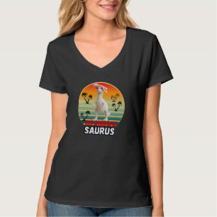 Oma Saurus T-Rex Mama Dinosaur Funny Gift T-Shirt