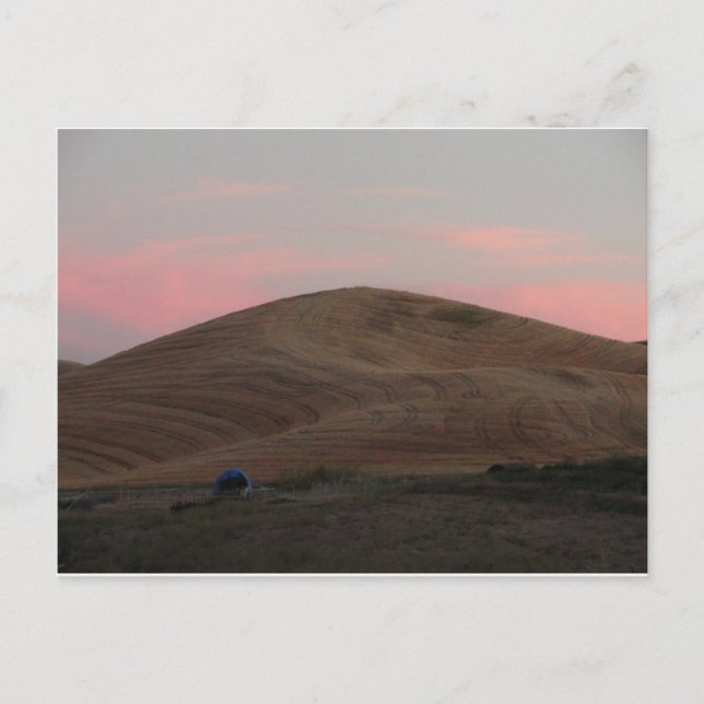 Omache Farm Sunset Postkarte (Vorderseite)