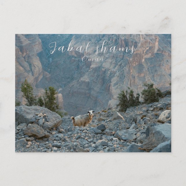 Oman Jabal Shams Postcard Postkarte (Vorderseite)