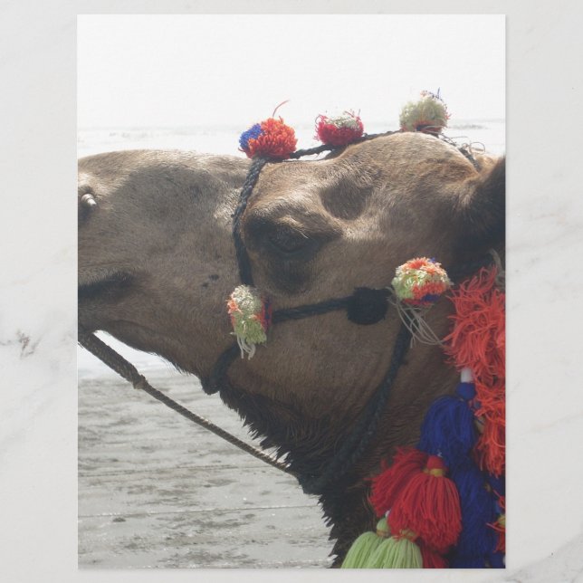 Oman! Muscat (Vorderseite)