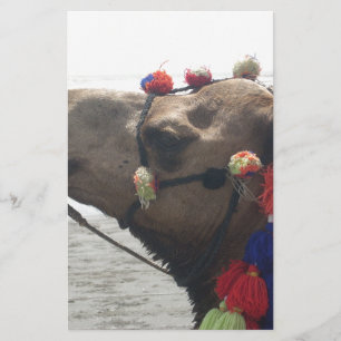 Oman Muscat Camel Foto Art Print Briefpapier