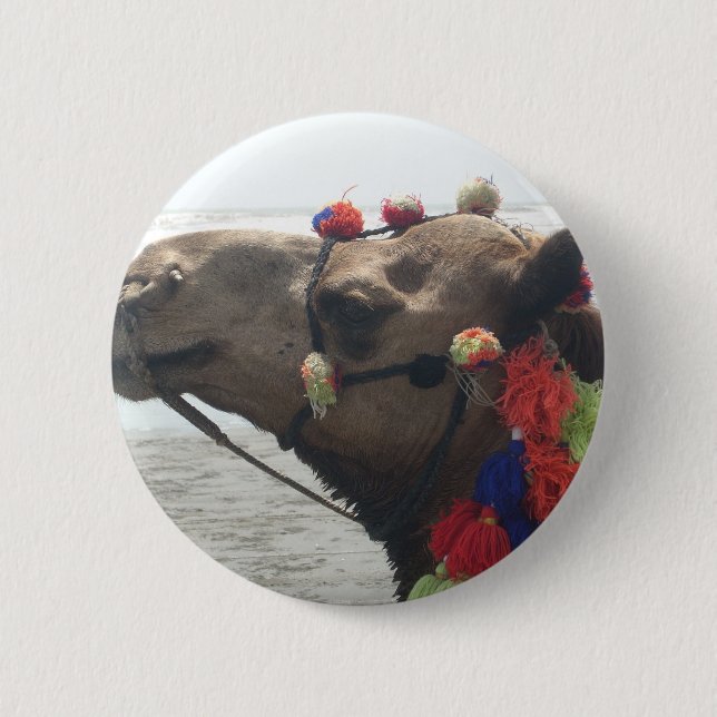 Oman Muscat Camel Foto Art Print Button (Vorderseite)