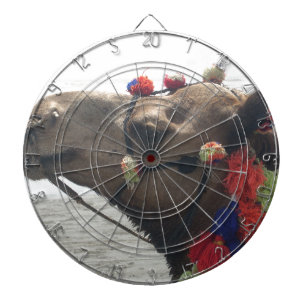 Oman Muscat Camel Foto Art Print Dartscheibe