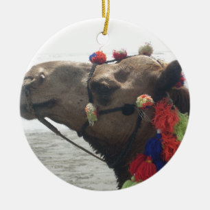 Oman Muscat Camel Foto Art Print Keramikornament