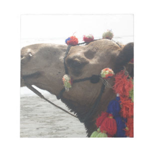 Oman Muscat Camel Foto Art Print Notizblock