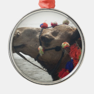 Oman Muscat Camel Foto Art Print Ornament Aus Metall
