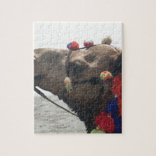 Oman Muscat Camel Foto Art Print Puzzle