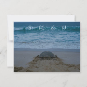 Oman Schildkröte Postkarte