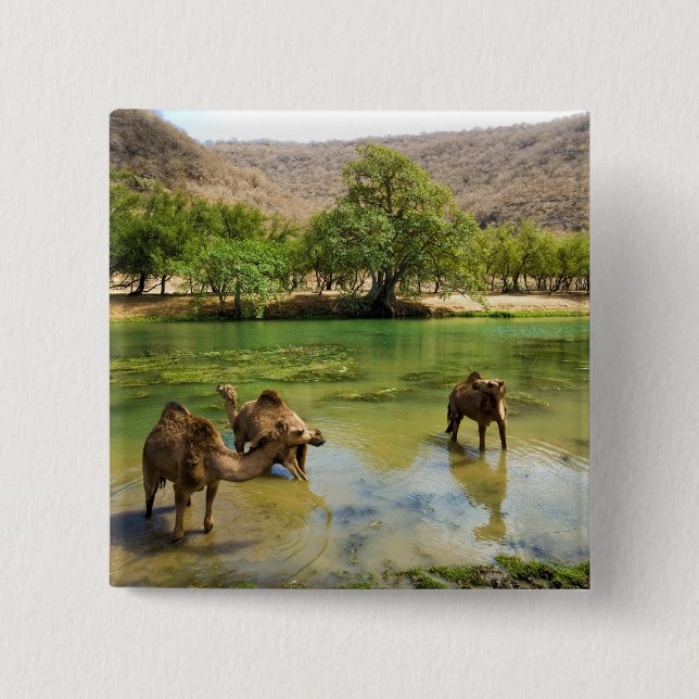 Oman, Wadi darbat Button (Vorderseite)