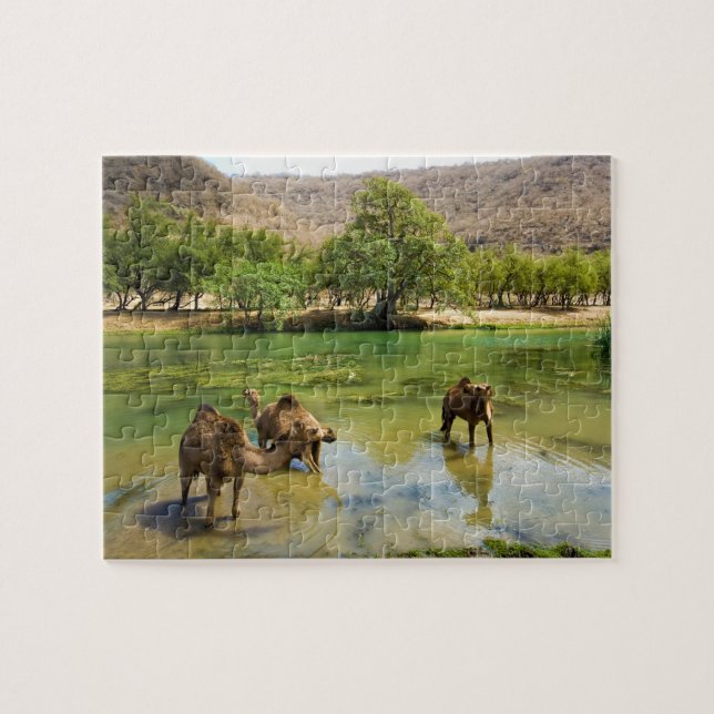 Oman, Wadi Darbat Puzzle (Horizontal)