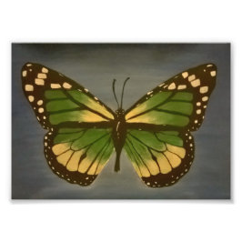 Oma's Butterfly 12x18 Print Fotodruck