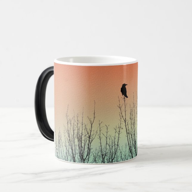 Ombre Color Sky Verwandlungstasse (Vorderseite Links)