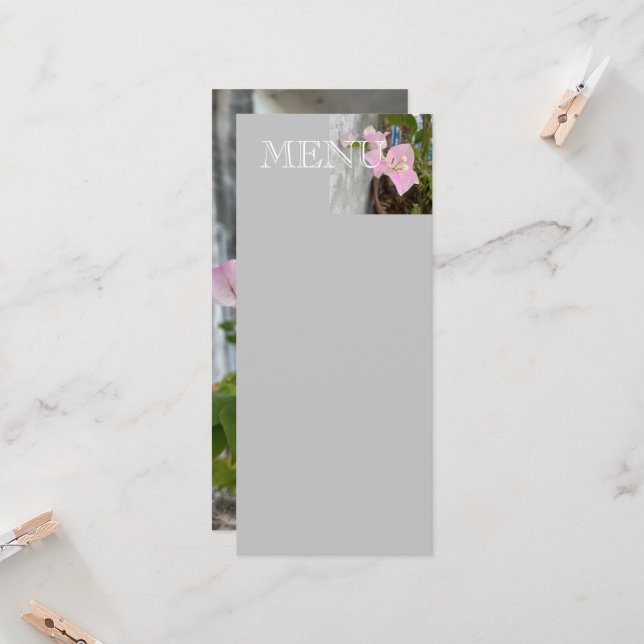 ombre rosa Bougainvillea oder Papier Blume, tropis (Vorderseite/Rückseite Beispiel)