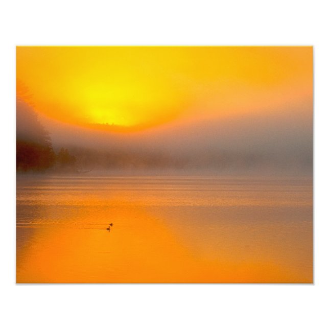 Ombre Sunrise Shinting on Two Encks Nature Foto - (Vorne)