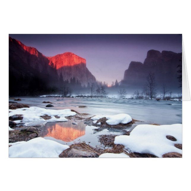 Omega Red (Vorderseite (Horizontal))