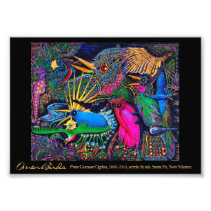 Omen Birds Postmoderne farbige Santa Fe Outsider Fotodruck