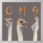 OMG Ostriches Poster<br><div class="desc">Dies ist ein Aquarellbild von Straußen mit sich verändernden Emotionen von der Ruhe zu einer Kernschmelze. Auf jedem Strauß sind Buchstaben,  die "OMG" in der Goldfolie der Imitate enthalten.</div>