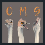 OMG Ostriches Poster<br><div class="desc">Dies ist ein Aquarellbild von Straußen mit sich verändernden Emotionen von der Ruhe zu einer Kernschmelze. Auf jedem Strauß sind Buchstaben, die "OMG" in der Goldfolie der Imitate enthalten.</div>
