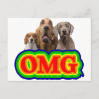 OMG Rainbow mit überraschten Hunden!