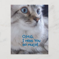 OMG Sie verpassen Postkarten