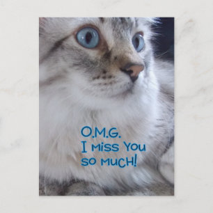 OMG Sie verpassen Postkarten