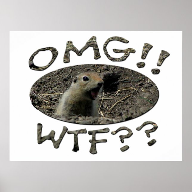 OMG WTF Gopher Poster (Vorne)