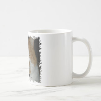 Ommm.. Kitty Tasse
