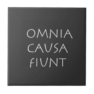 Omnia ursa fiunt fliese