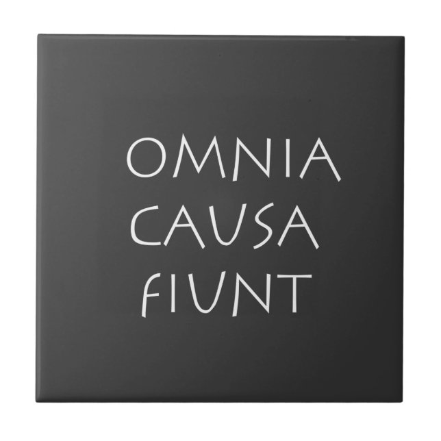 Omnia ursa fiunt fliese (Vorderseite)