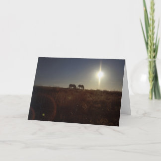 OMRH Weihnachten 2008