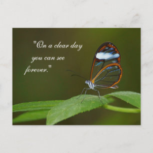 "On a Clear Day" Glaswing Butterfly Design Postkarte