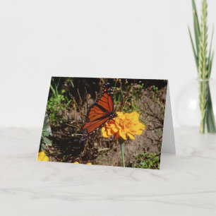 "On a Marigold" Karte