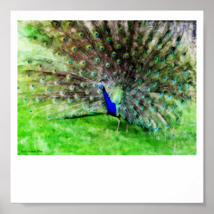 On Display Print Poster