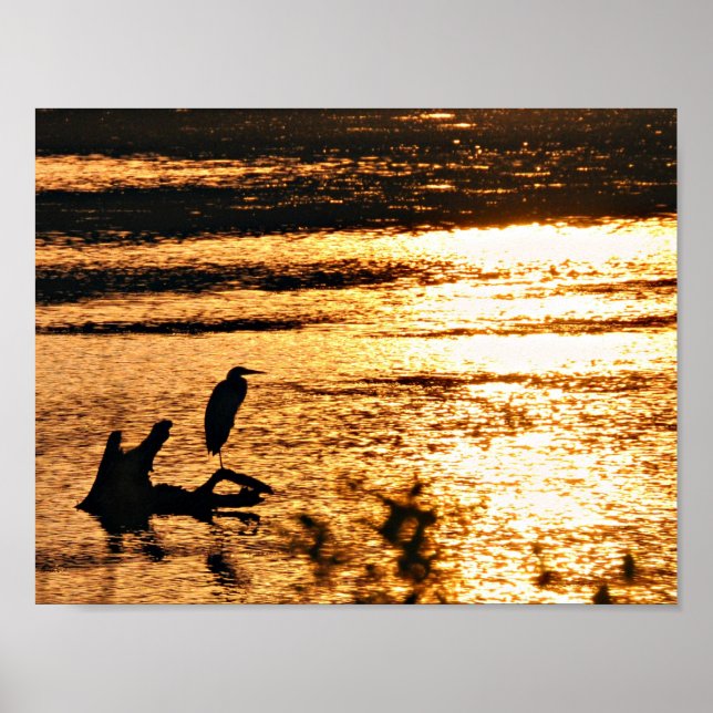 On golden lake poster (Vorne)