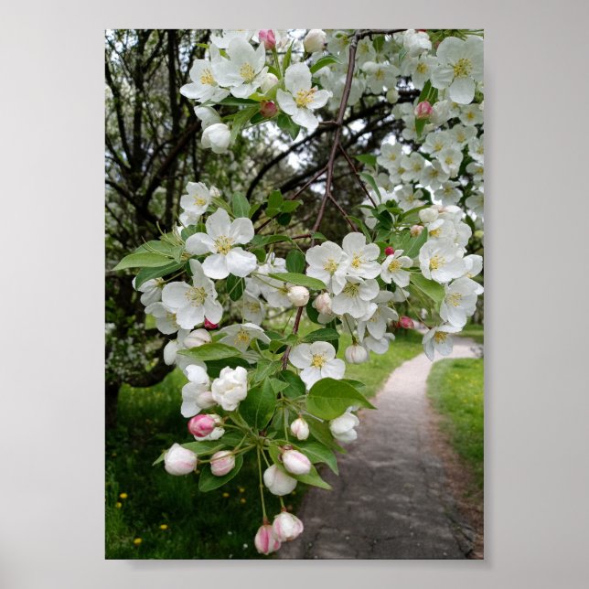 On the Boughs of Blossoms Poster (Vorne)