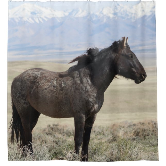 ONAQUI HERD ROAN WILD HORSE VON UTAH Duschvorhang (Vorderseite)