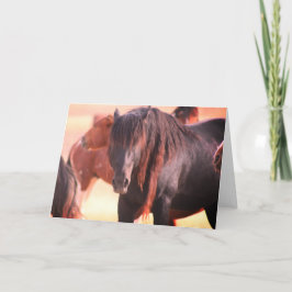 ONAQUI HERD WILD HORSE GREETING CARD KARTE