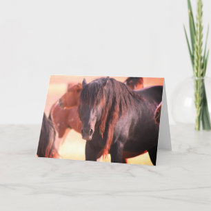 ONAQUI HERD WILD HORSE GREETING CARD KARTE