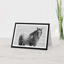 Onaqui Mountain Wild Horse leere Notizkarte. 5" x Karte