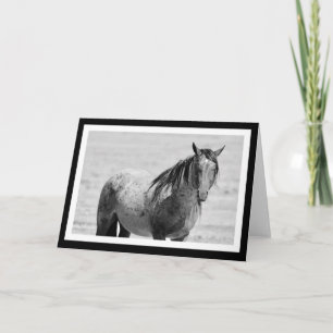 Onaqui Mountain Wild Horse leere Notizkarte. 5" x Karte