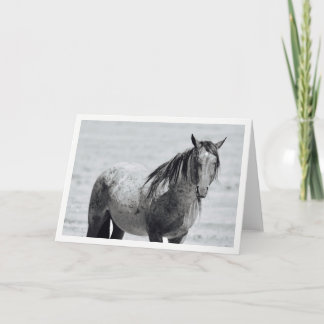 Onaqui Mountain Wildes Pferd leere Notizkarte. 5"x Karte