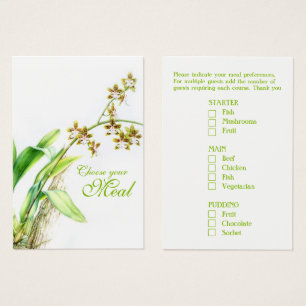 Oncidium Leucochilum orchid Blume grün