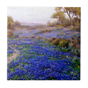 Onderdonk - Bluebonnets bei Twilight, nördlich von Fliese