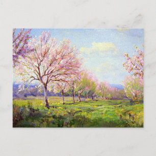 Onderdonk - Peach Orchard, Postkarte