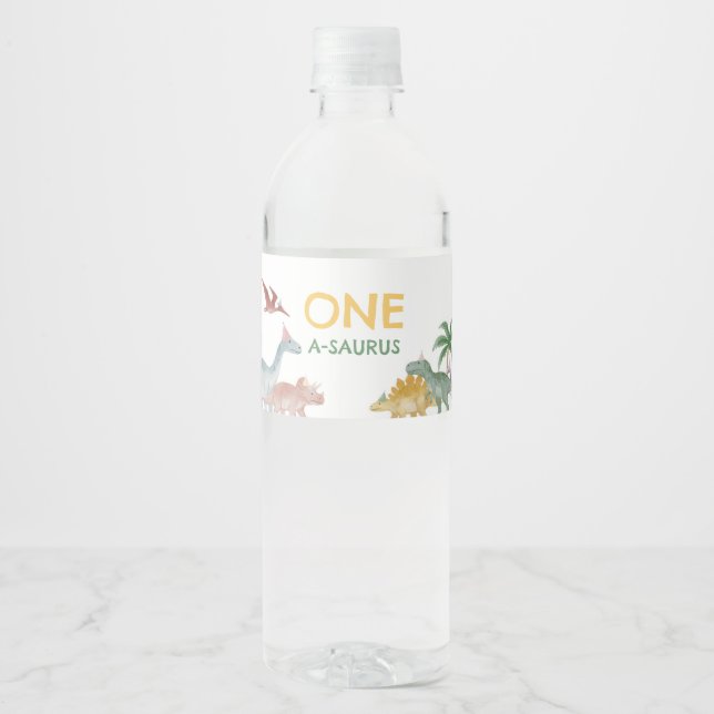 One A Saurus Dinosaur Boy Birthday  Wasserflaschenetikett (Vorderseite)