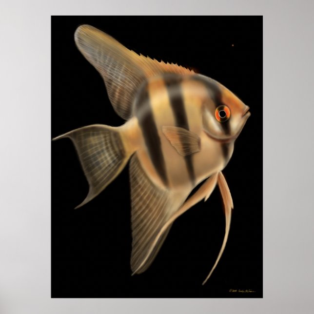 One Big Angelfish Print Poster (Vorne)