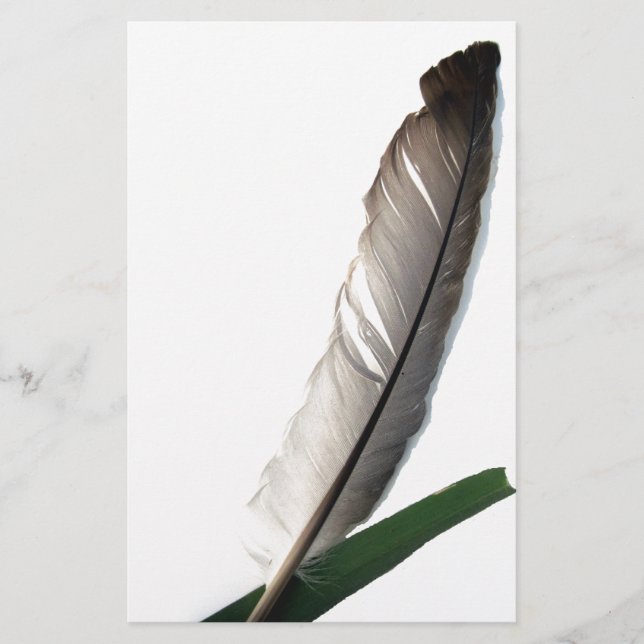 One Feather Briefpapier (Vorderseite)