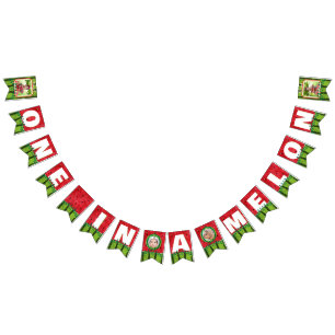 One in a Melon Niedlich Watermelon 1. Geburtstag F Wimpelkette