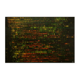 One Month of Sound: Acrylic Acryl Wandkunst