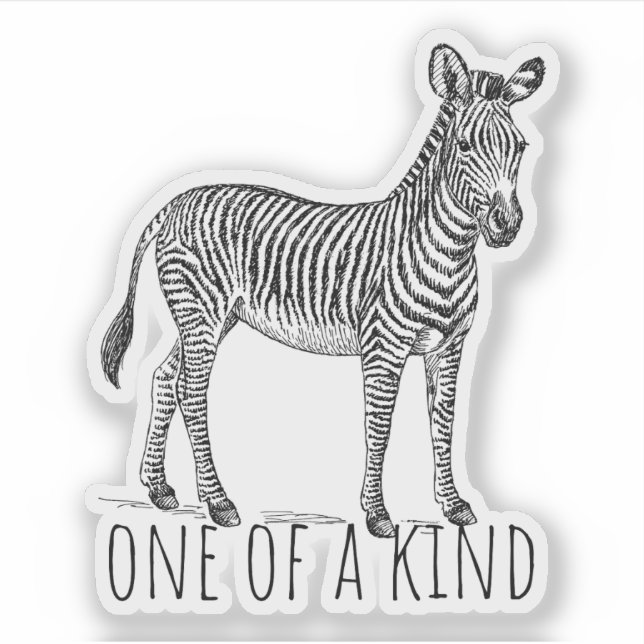 One Of A Kind Unique Zebra Aufkleber (Vorderseite)